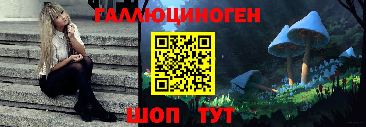 Ливны  Галлюциногенные грибы Psilocybine cubensis  Вход с VPN 